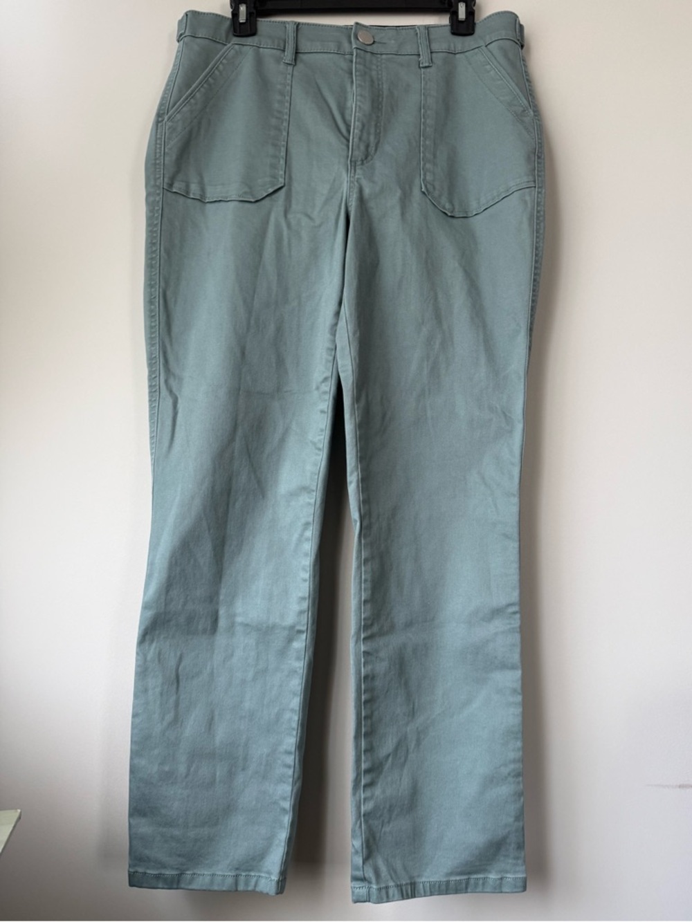 Democracy Ab Technology Women’s Chino Pant in Sage Green -  Size 12